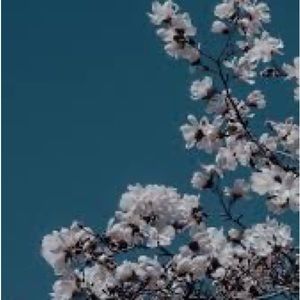 Meet your Posher, Chloe